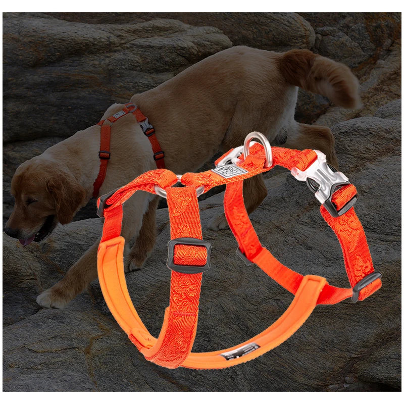 TRUELOVE Pet Hairy Usag Premiu - Runners Gear recension och pris