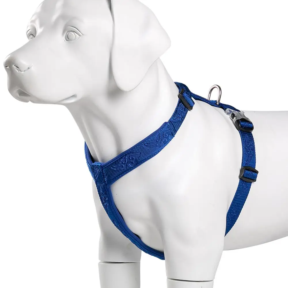 TRUELOVE Pet Hairy Usag Premiu - Runners Gear recension och pris